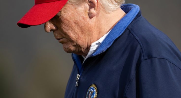 Dan Bongino speaking after FBI appointment