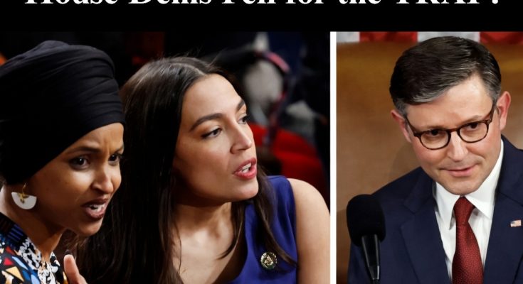 Police dog with handler during law enforcement work