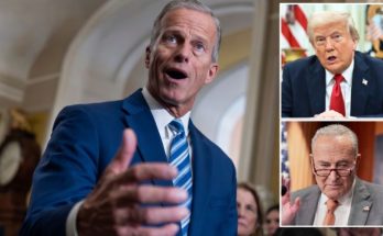 Senate chamber debate on DHS funding