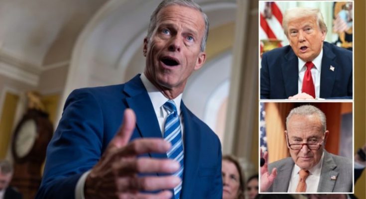Senate chamber debate on DHS funding