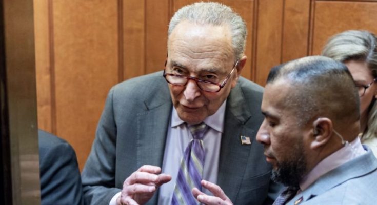 Chuck Schumer amid Democratic leadership tensions