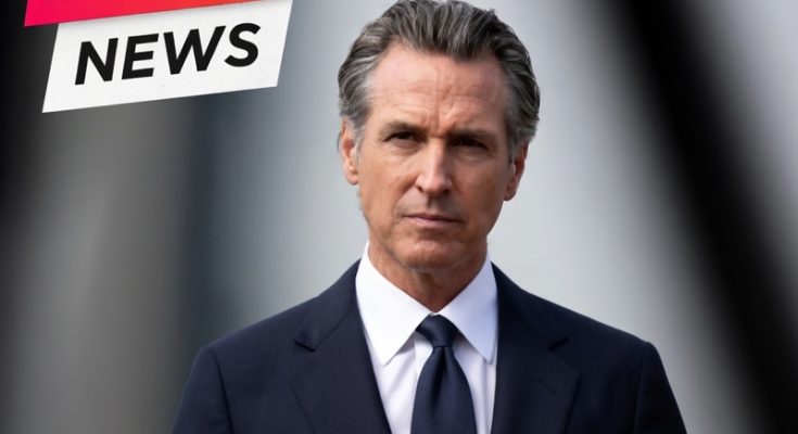 Gavin newsom gets owned by fraud exposer nick news update you might recall nick shirley the