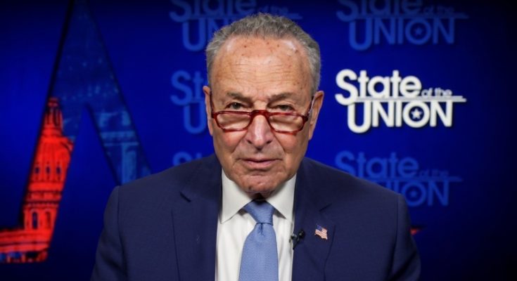 Chuck schumer facing calls to be removed after news update a group of democratic senators introduced