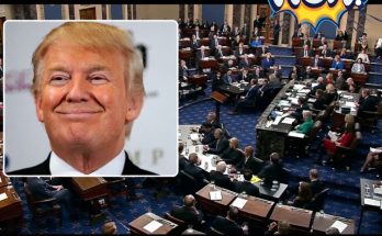 See it: gop lawmaker takes blowtorch to democrat news update all one can do in this