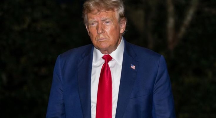 Grainy photo sparks viral online speculation