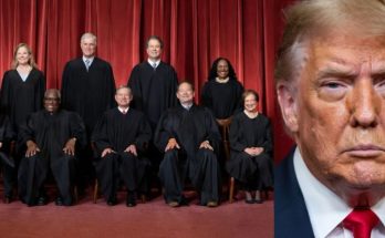 Supreme Court ruling on asylum review standard