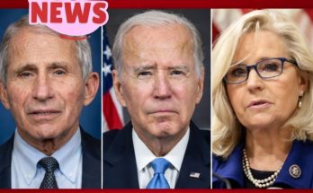 Joe Biden announcing controversial pardons