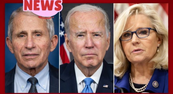 Joe Biden announcing controversial pardons