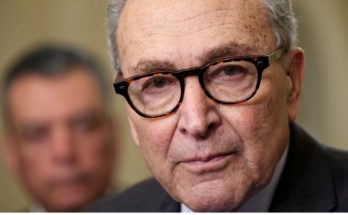 Chuck Schumer amid Democratic Senate divisions