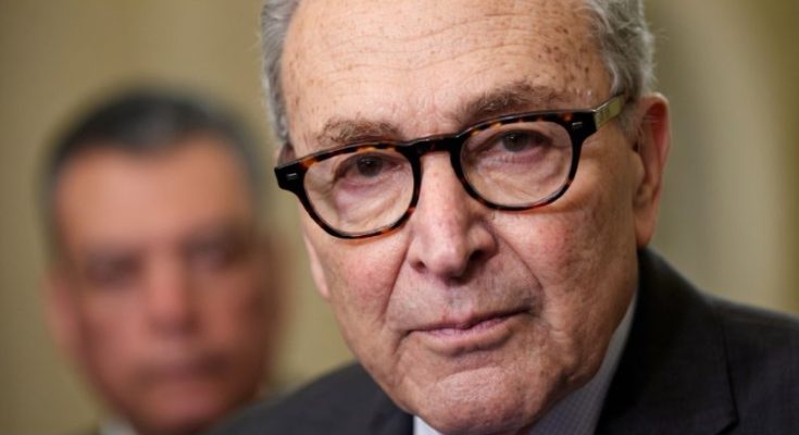 Chuck Schumer amid Democratic Senate divisions