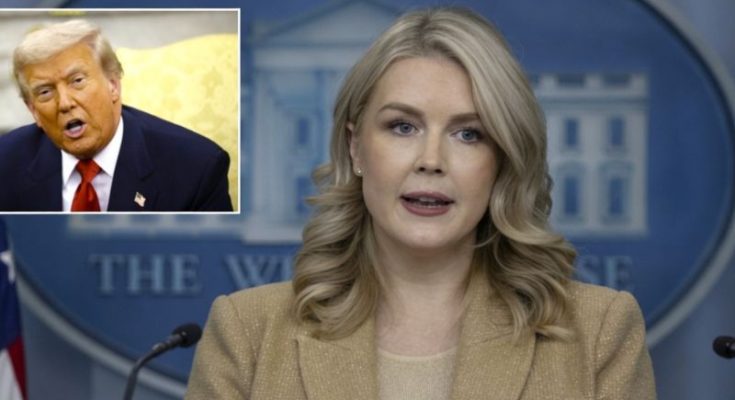 Karoline Leavitt addressing Iran operation criticism