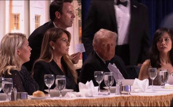 formal dinner setting with five people in discussion, focus on table