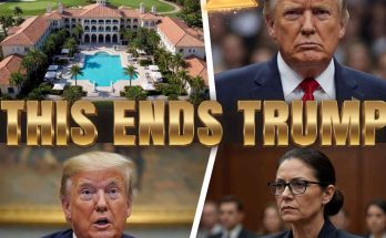 mar-a-Lago estate with Donald Trump in courtroom and press conference scenes, bold gold