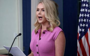 karoline Leavitt speaking at White House press briefing podium in pink sleeveless dress