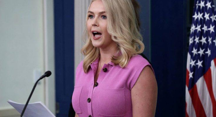 karoline Leavitt speaking at White House press briefing podium in pink sleeveless dress