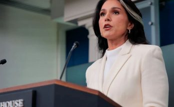 tulsi Gabbard speaking at White House podium with headline about charging officials for