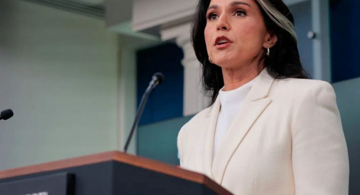 tulsi Gabbard speaking at White House podium with headline about charging officials for