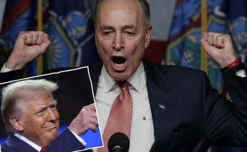chuck Schumer raises both fists with mouth open in apparent exasperation, with Breaking