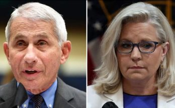 tmp pzyaad0 speaking in a news photo