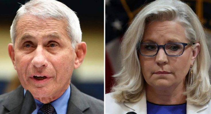 tmp pzyaad0 speaking in a news photo