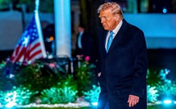 man in dark coat walks past flag in illuminated garden
