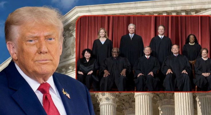 donald Trump portrait beside Supreme Court justices group photo with red curtain backdrop
