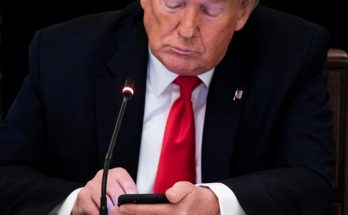 donald Trump in dark suit and red tie looking down at smartphone while seated at desk