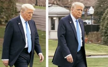 man in blue suit walking through garden, focused expression