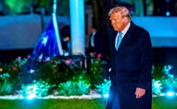 donald Trump walks across a lawn at night wearing a dark overcoat and light blue tie