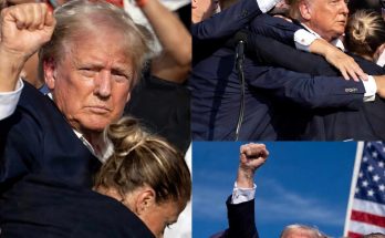 crowd gathers around speaker at political rally with raised fists