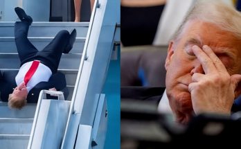four-panel collage showing Donald Trump falling on airplane stairs, rubbing his eye, a