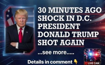 snipaste speaking in a news photo