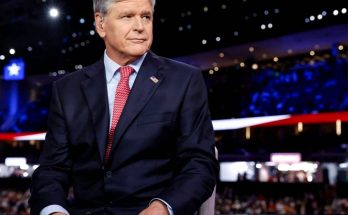 snipaste speaking in a news photo